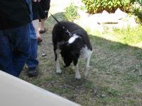 Sommerfest Baumberge 2010 196